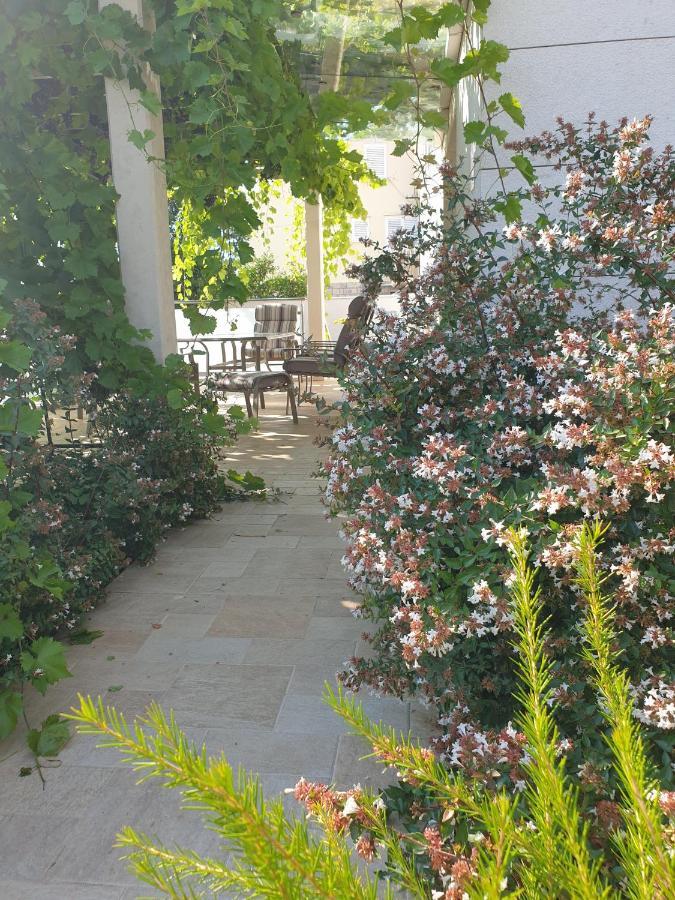 Abelia, Two Terraces, Hot Tub, Free Parking Apartment Dubrovnik Exterior foto